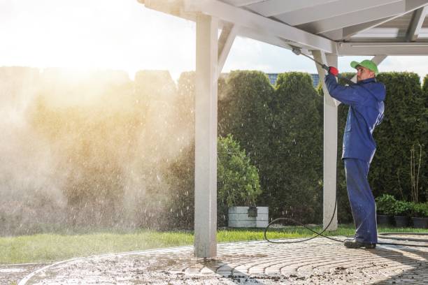 Best Gutter Cleaning and Brightening in Linganore, MD
