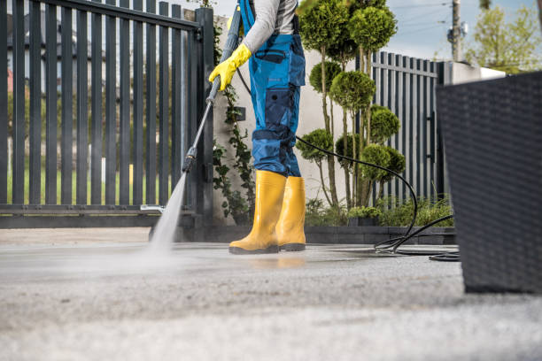 Best Window and Screen Pressure Cleaning in Linganore, MD