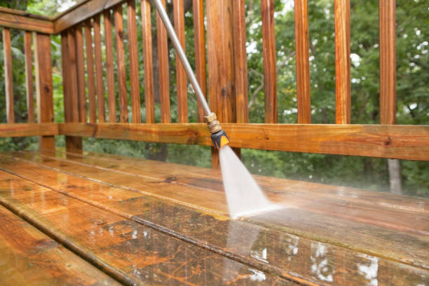 Best Vinyl Siding Pressure Washing in Linganore, MD
